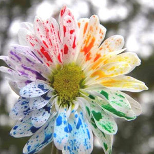 Meet your Posher, Lexi